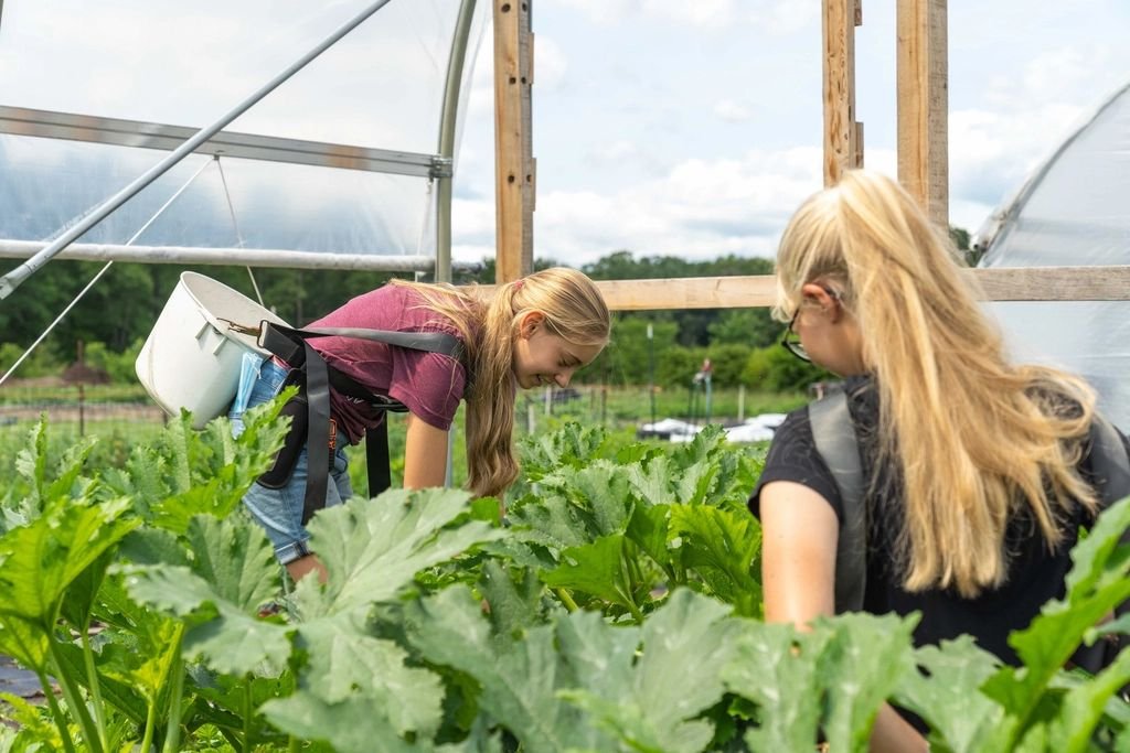 Duas jovens trabalhando entre plantas de abobrinha em uma estufa